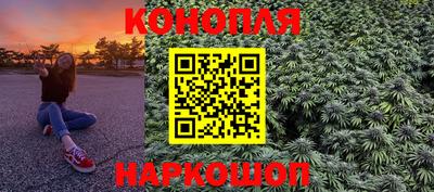 ешки Кингисепп