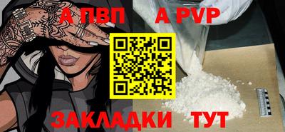 ешки Кингисепп