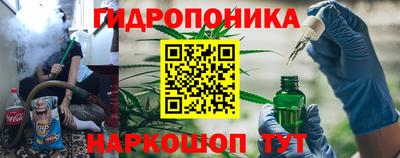 ешки Кингисепп