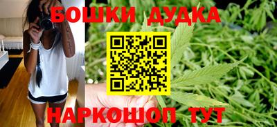 ешки Кингисепп