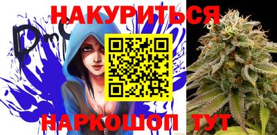 ешки Кингисепп