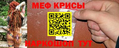 ешки Кингисепп