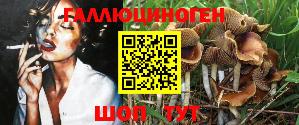 Кулебаки  Псилоцибиновые грибы ЛСД  Псилоцибиновые грибы Psilocybine cubensis  Вход с VPN 