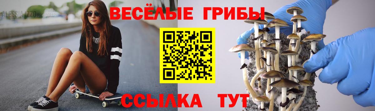 Галлюциногенные грибы мухоморы Кулебаки